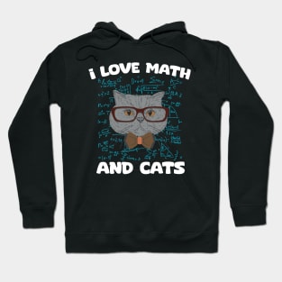 I Love Math And Cats Hoodie